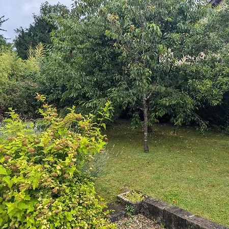 Au Saint-amand 3* Poissons